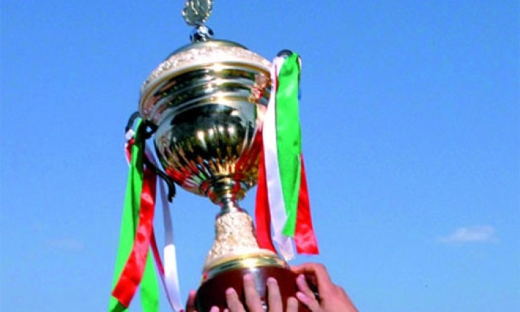 كاس الولاية