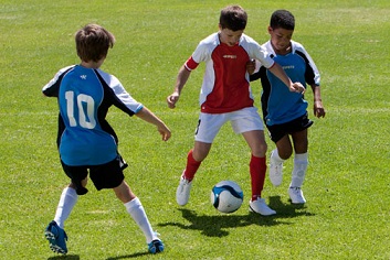 المنتخب الولائي 2010